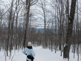 PXL_20230126_162041050